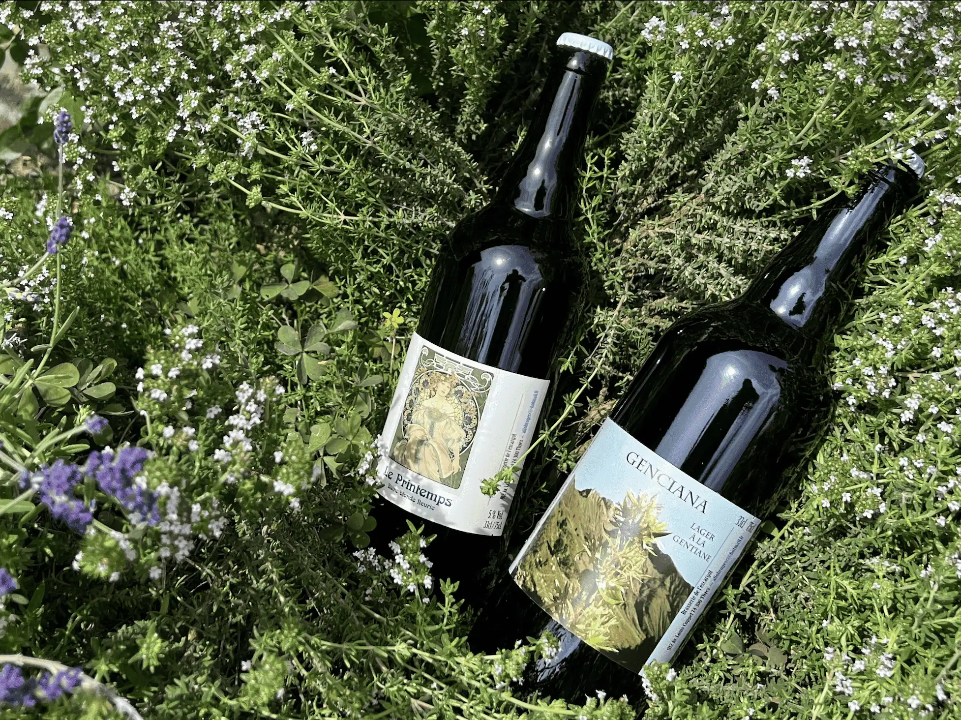 Deux bouteilles de bière